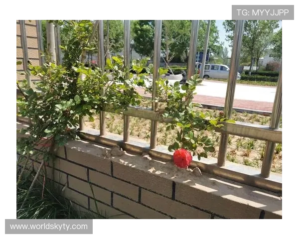 开云会员尊享专属优惠,开启奢华购物新体验 开云会员尊享专属优惠,开启奢华购物新体验