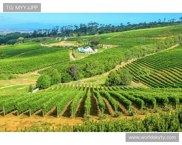 开云集团在可持续发展方面的实践与未来绿色奢侈品的创新路径 开云集团在可持续发展方面的实践与未来绿色奢侈品的创新路径