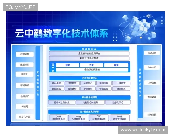 开云KY官网地址官方入口导航及安全访问指南