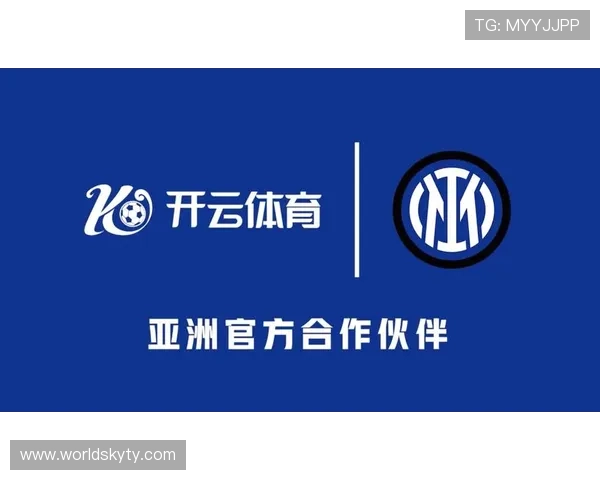 选择开云体育域名时需注意的法律问题与解决方案
